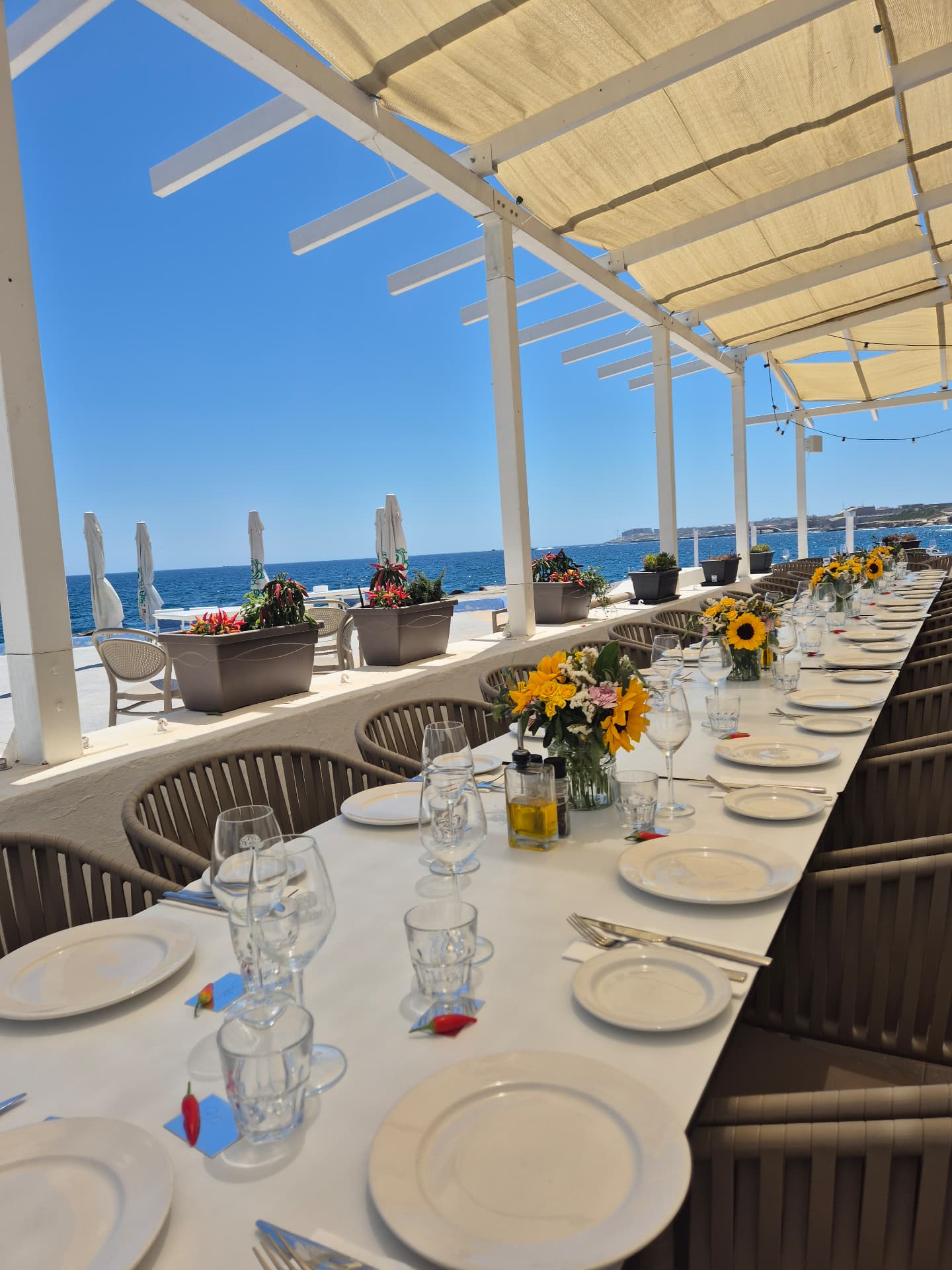 Long table set for a group under a shaded seafront pergola with sunflowers and sea views in Sliema